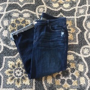 Lane Bryant Jeans